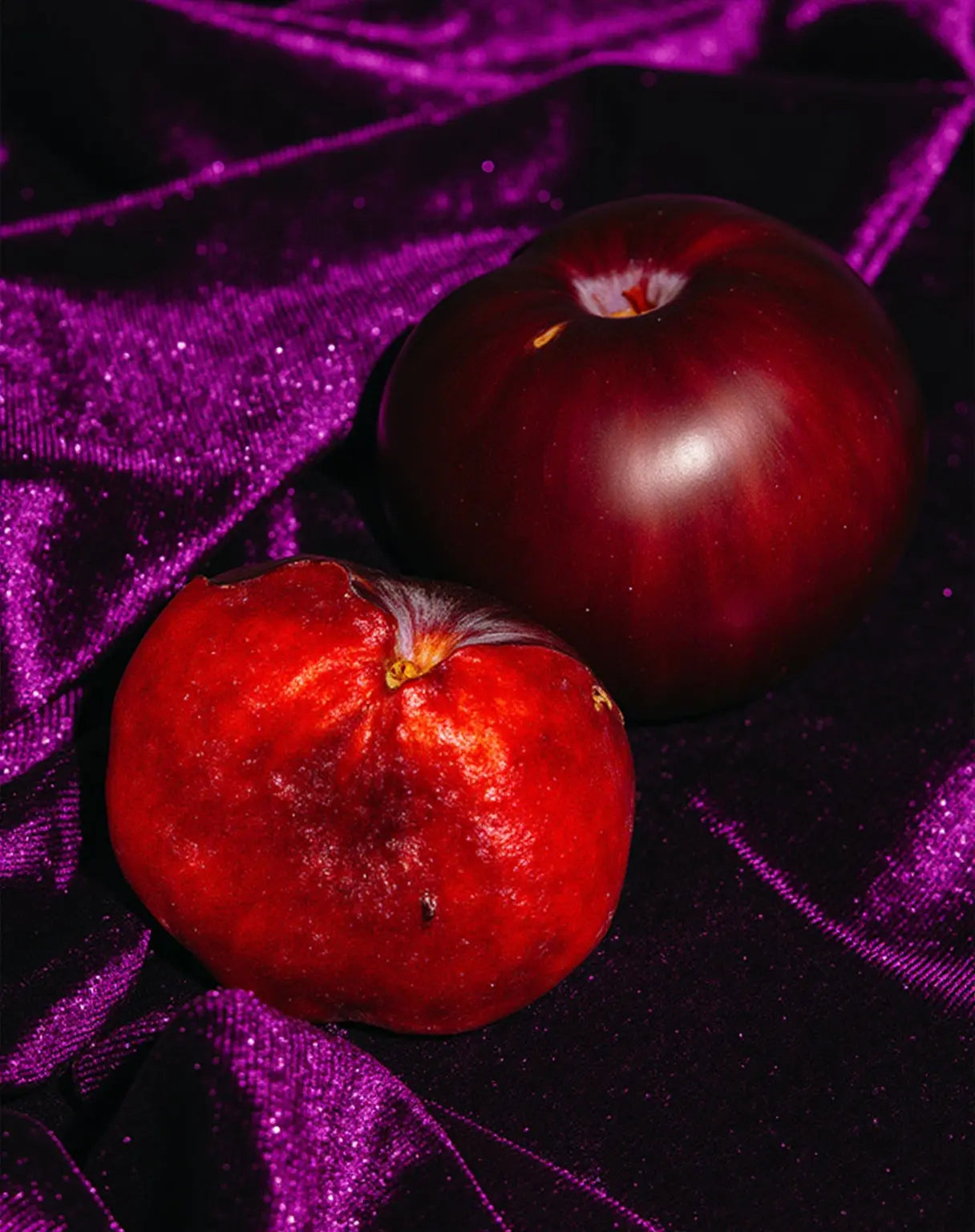 sugar plum & velvet dream™ fragrance oil | fragrances | Wiccan Center