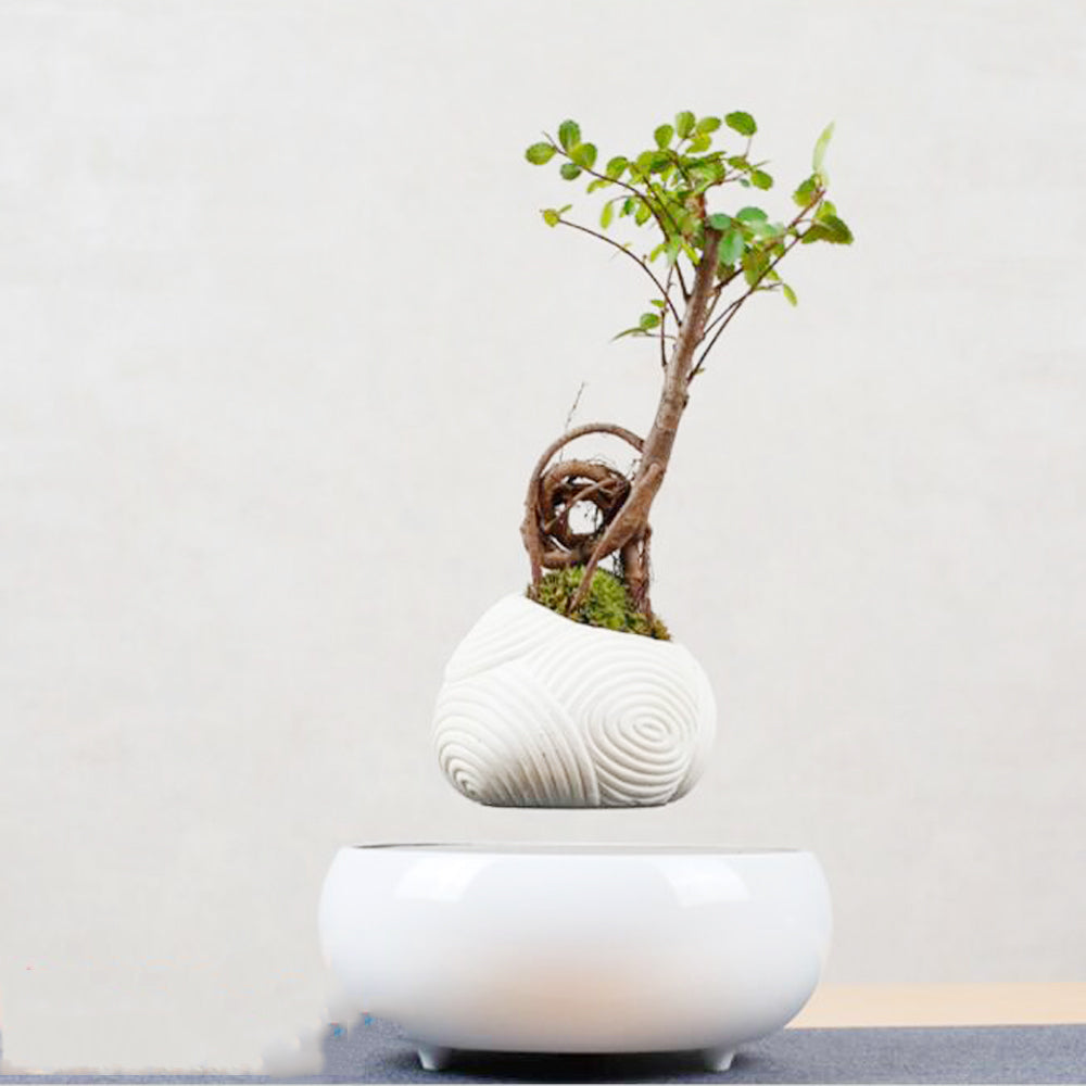 Magnetic Levitation Potted Plants | 0 | Wiccan Center