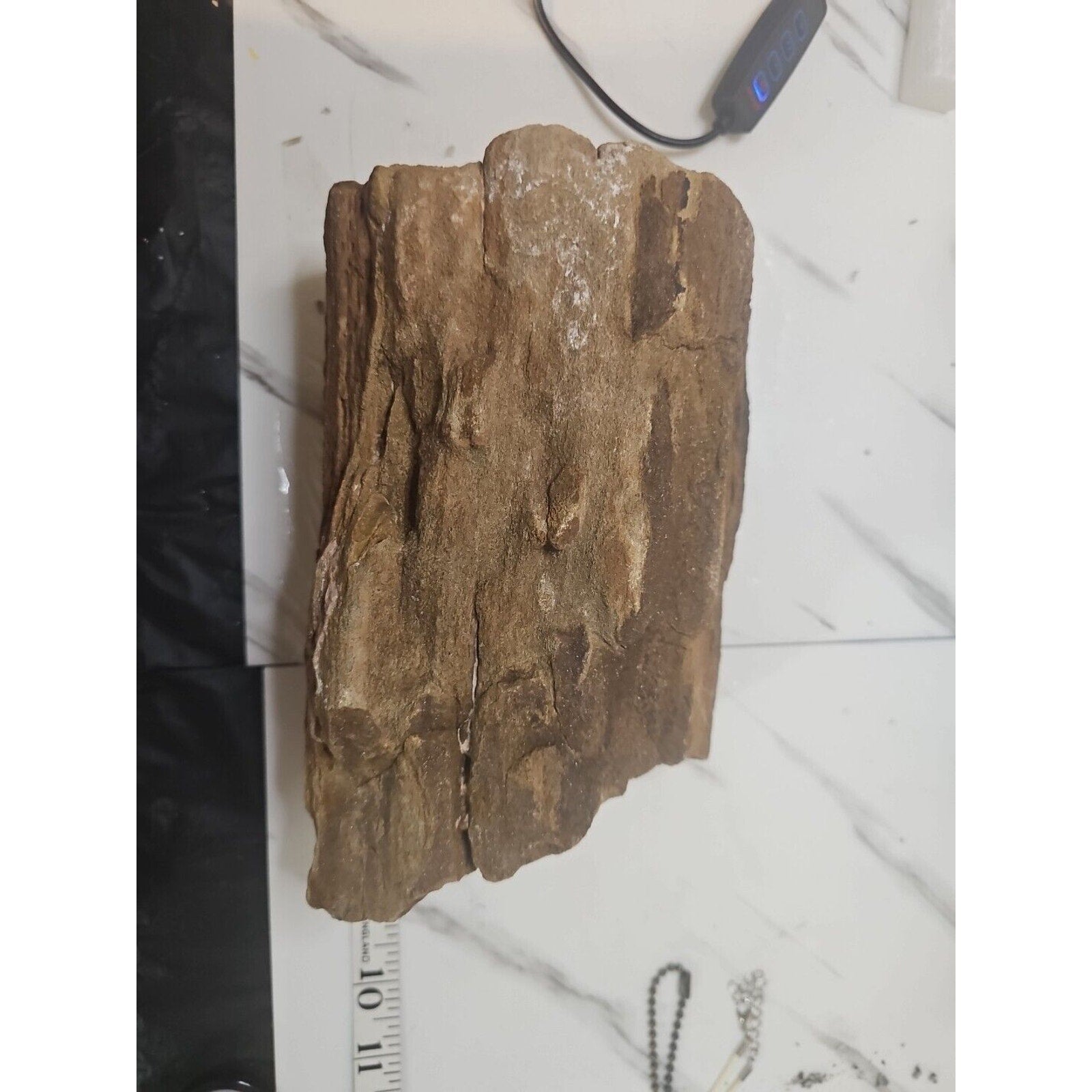 Texas Petrified Wood Raw Mineral Specimen with Stand — Grounding & Ancient Earth Energy | CrystalCloud Company