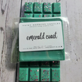 Emerald Coast | After Hours Cheirosa 76 Inspired Wax Melts | | Wiccan Center
