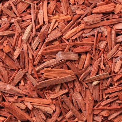 Red Sandalwood - Cut (1 oz) | Herbs | Wiccan Center
