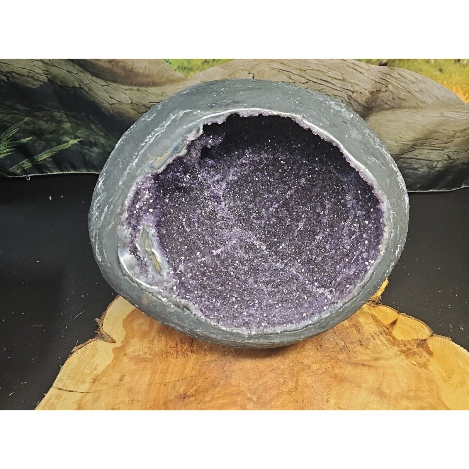 Raw Amethyst Money Bag Geode — 16.8 lbs, Abundance & Reiki Energy Crystal | CrystalCloud Company | Geodes & Clusters | Wiccan Center