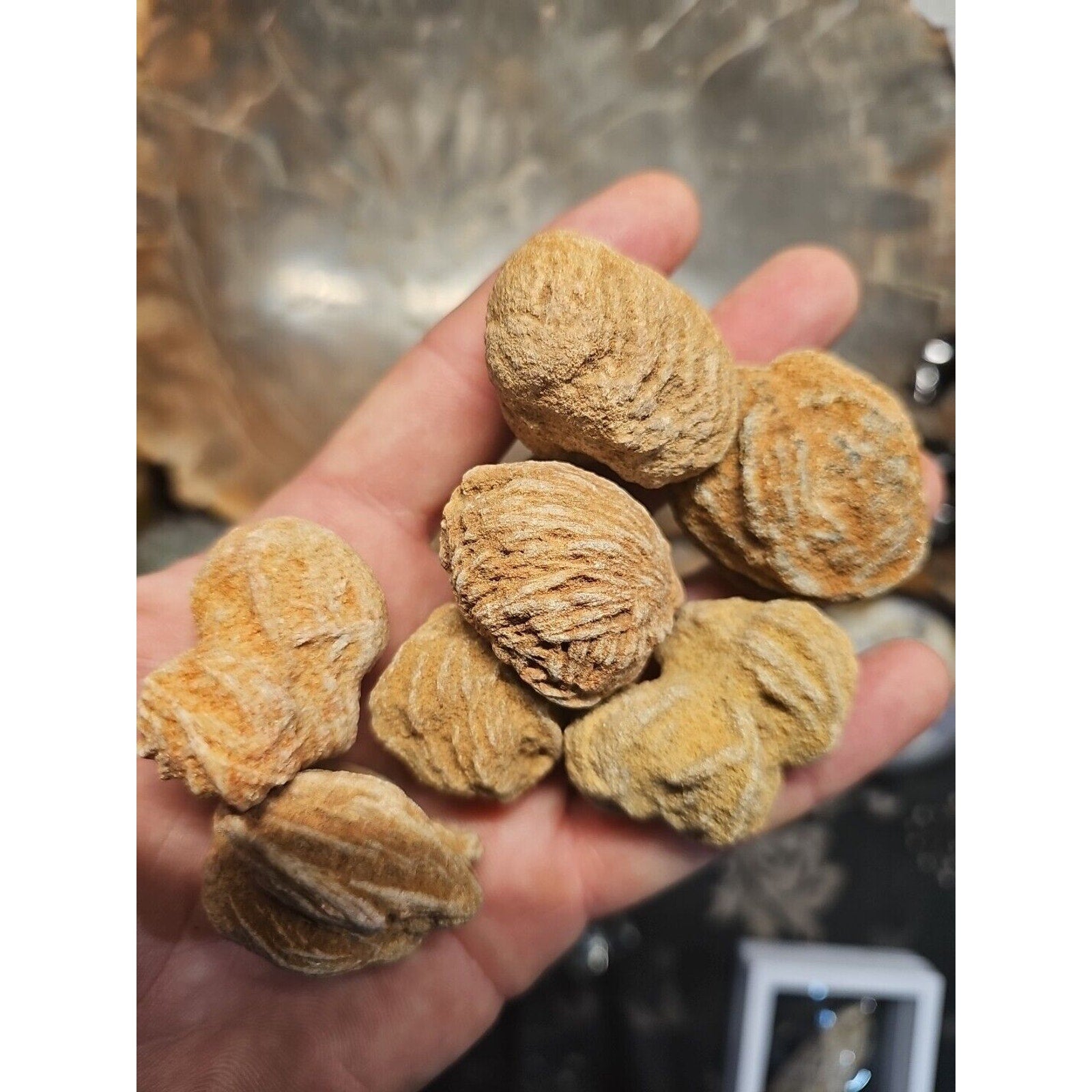 Desert Rose Selenite Mineral Specimen — Clarity & Stress Relief Crystal | CrystalCloud Company