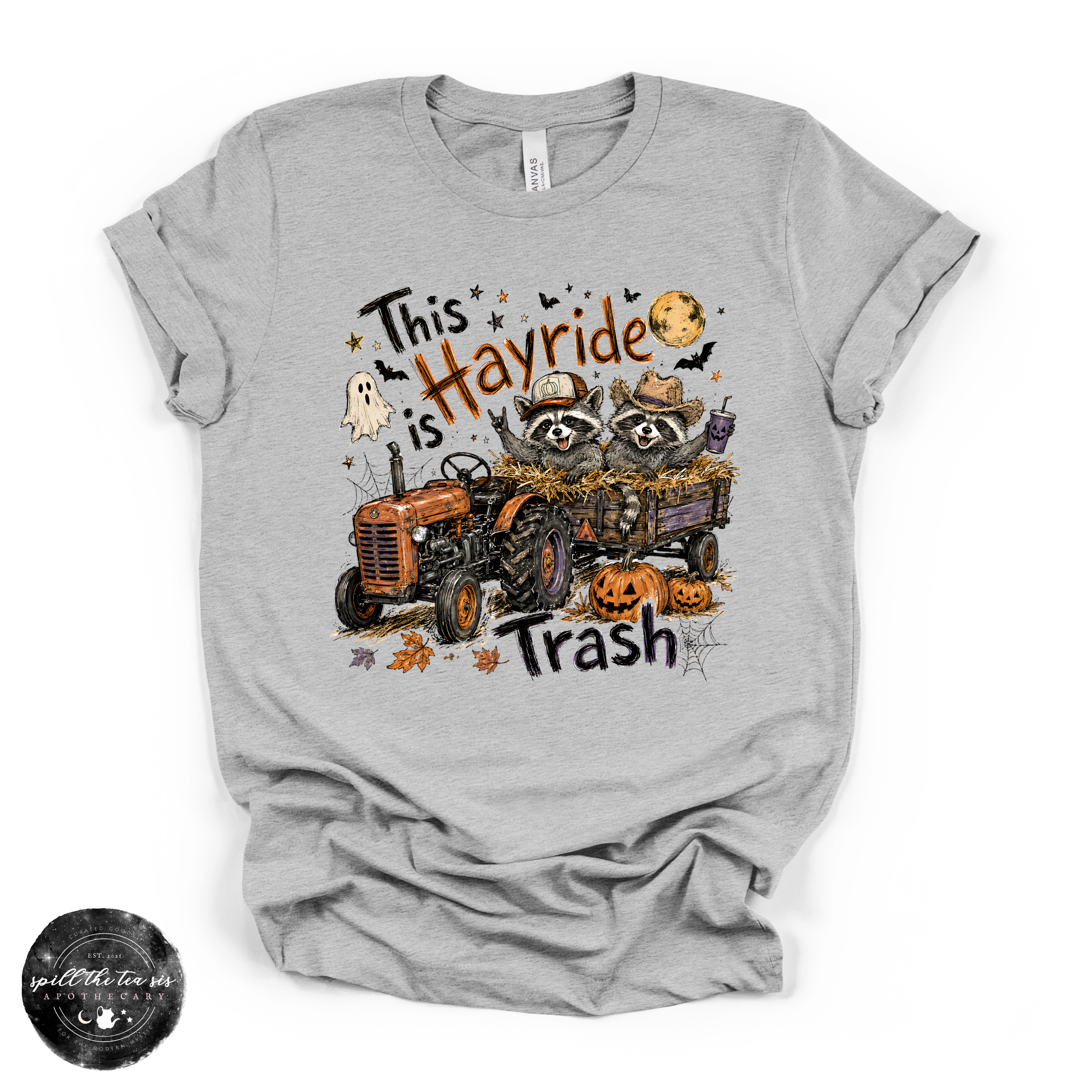 This Hayride Is Trash Tee | Funny Raccoon Fall Graphic T-Shirt