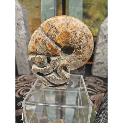 1.12LB Natural Madagascar Ammonite Fossil - Ancient Geometry Specimen | CrystalCloud Company | Fossils & Rare Specimens | Wiccan Center