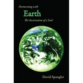Partnering with Earth: The Incarnation of a Soul - Paperback