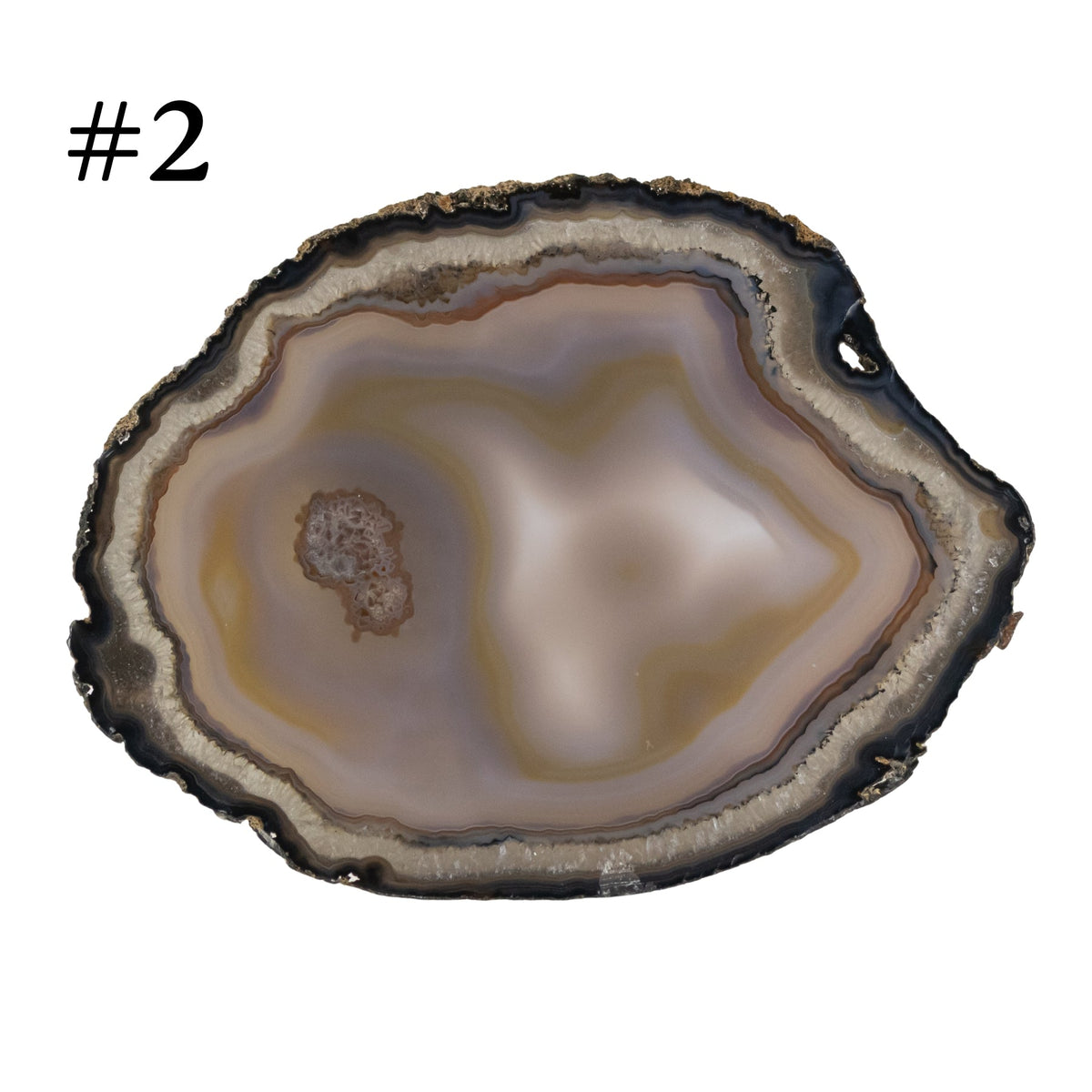 Large Natural Agate Slice | | Wiccan Center