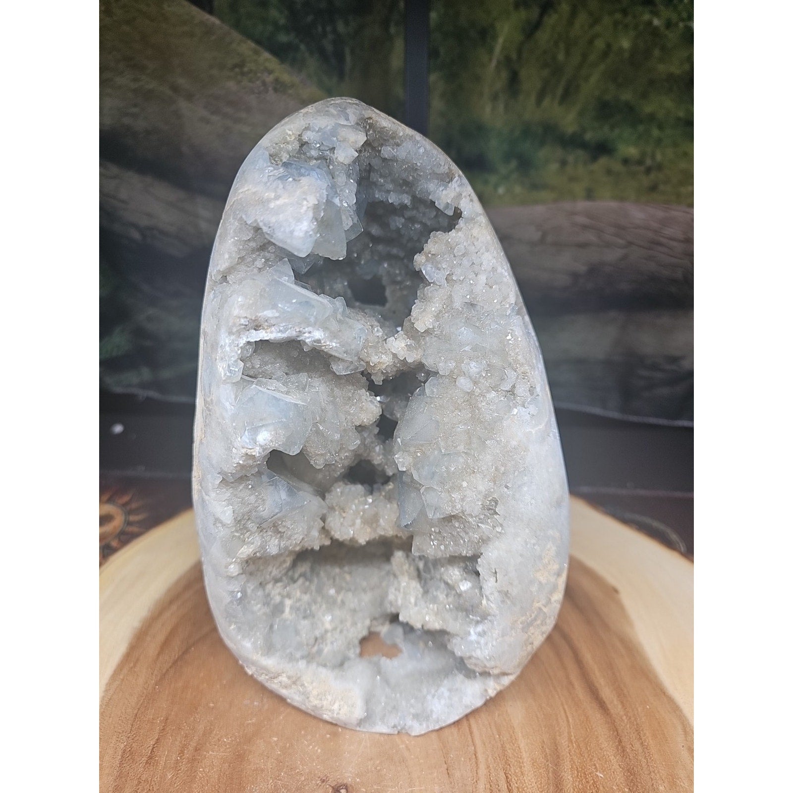 Large Baby Blue Celestite Geode Cluster — 13.6 lbs, 8 inches, Brazil | CrystalCloud Company | Geodes & Clusters | Wiccan Center