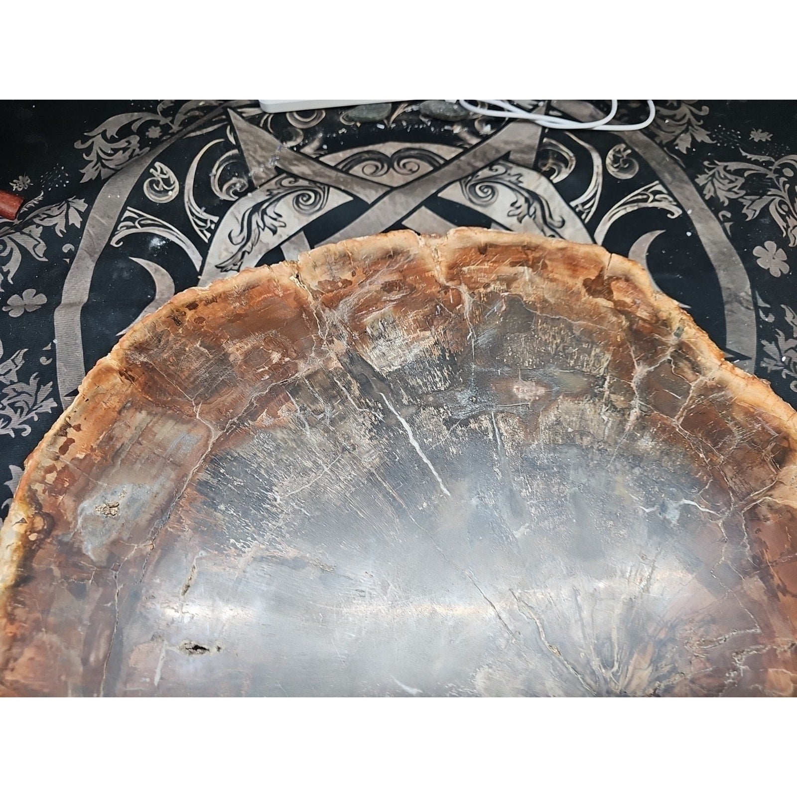 27.3 lb Fossil Wood Quartz Hedgehog Sculpture — Artisan Mineral Statement Piece | CrystalCloud Company