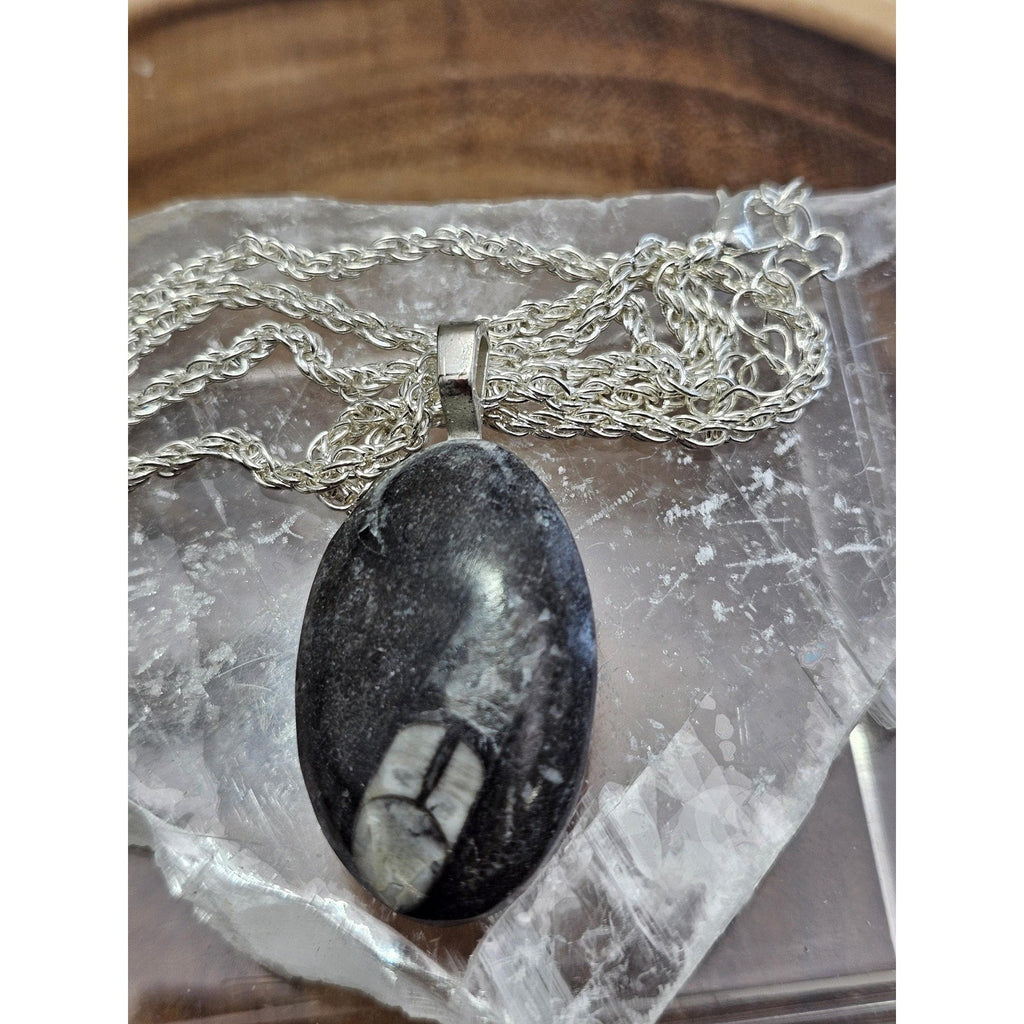 Orthoceras fossil pendant w/925 silver