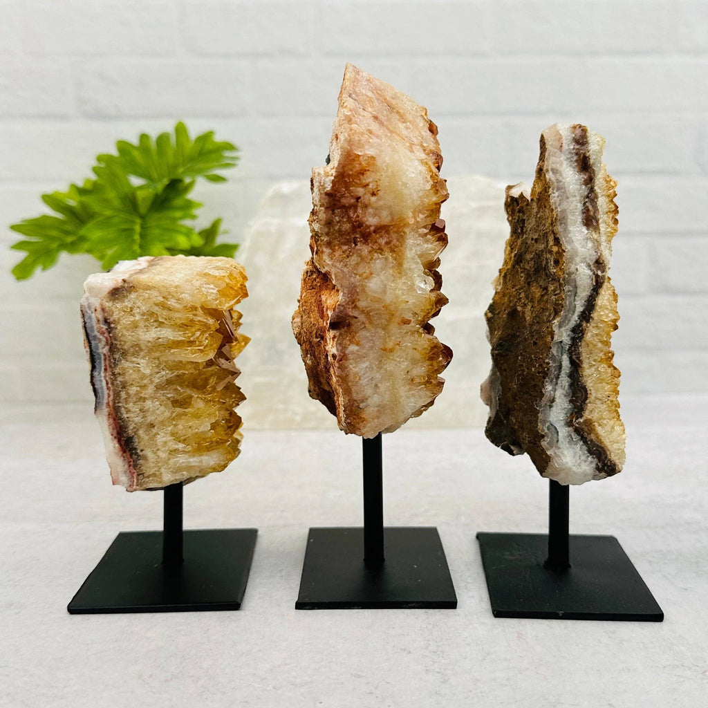 Citrine Cluster on Metal Stand