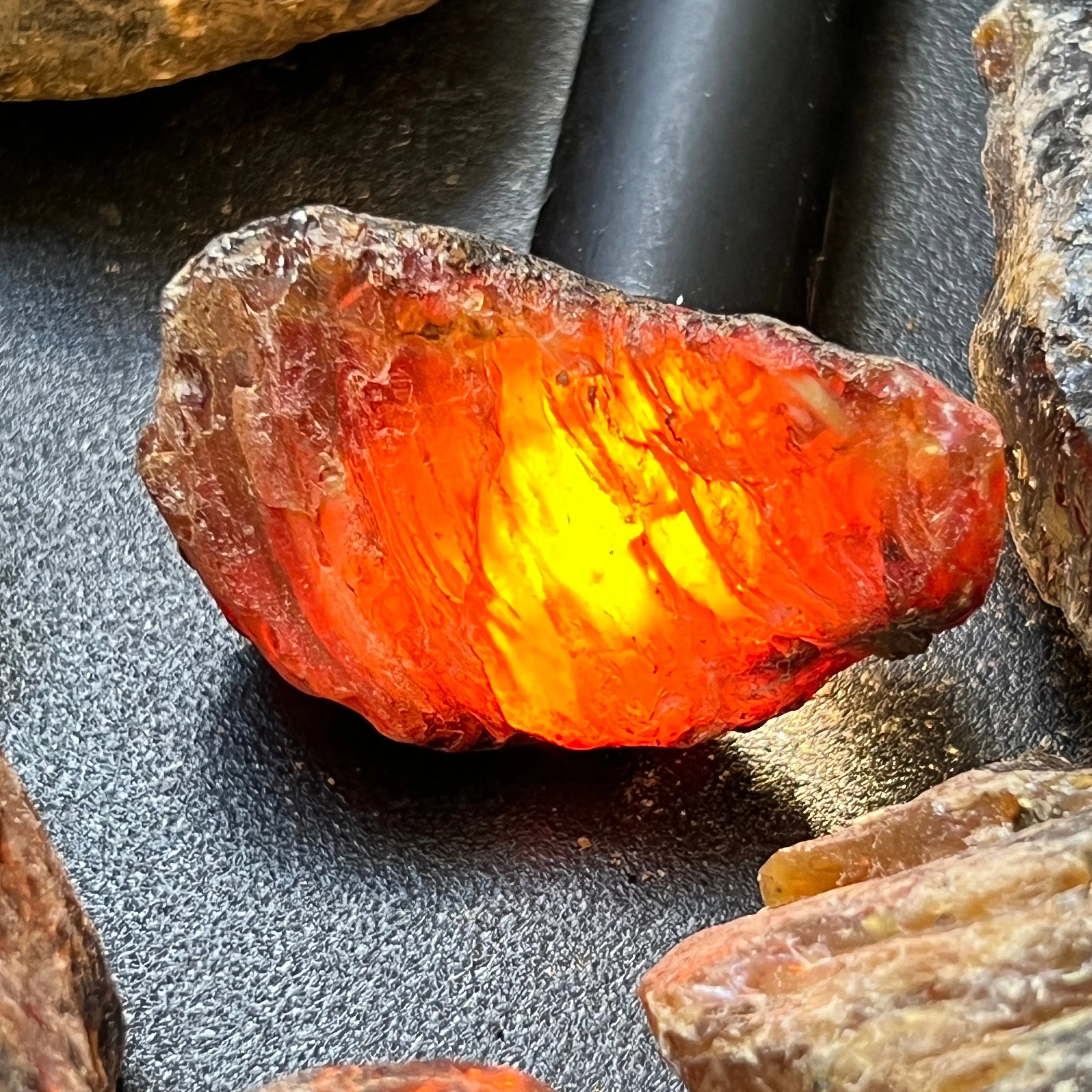 Black Amber Fossilized Tree Resin Mixed Sizes Rough Raw Stones (By The Piece or Pound)(UV Reactive) Wholesale | Home & Living > Home Decor > Home Accents > Rocks & Geodes | Wiccan Center