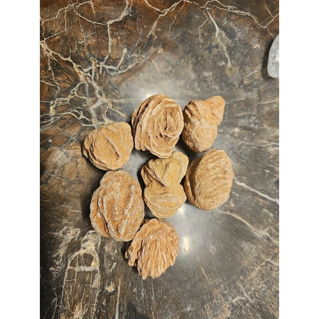 Desert Rose Selenite Mineral Specimen — Clarity & Stress Relief Crystal | CrystalCloud Company