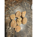 Desert Rose Selenite Mineral Specimen — Clarity & Stress Relief Crystal | CrystalCloud Company