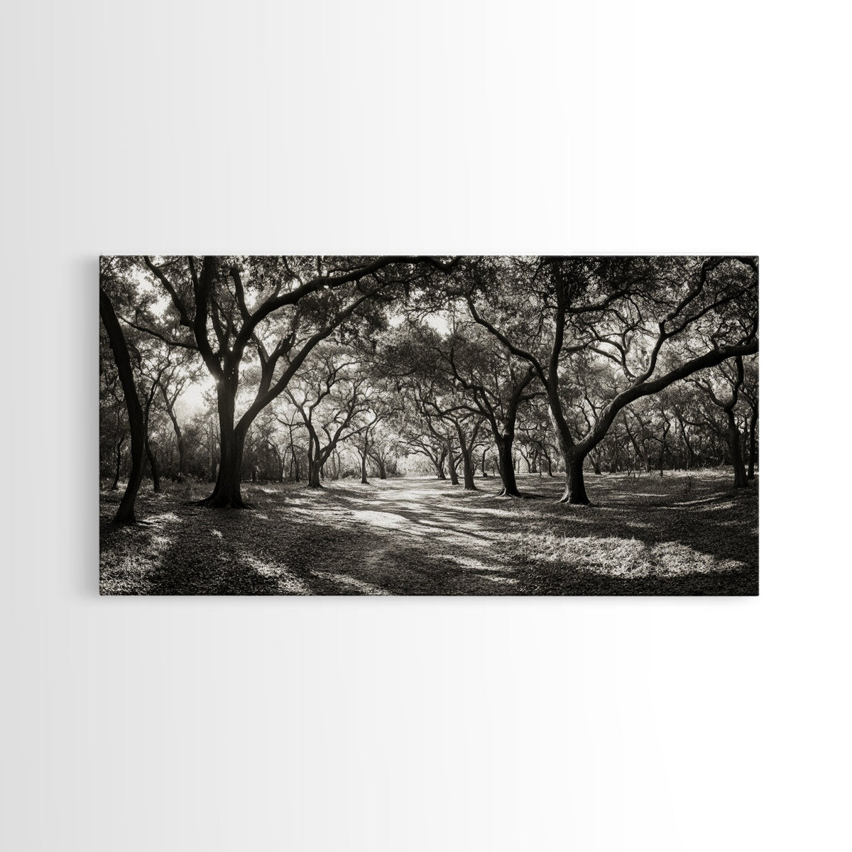 Oak Tree Path, Autumn Forest Glow, Nature Trail Photography, Framed Canvas Print, Hallway Wall Art, Earthy Decor, Woodland Art | | Wiccan Center