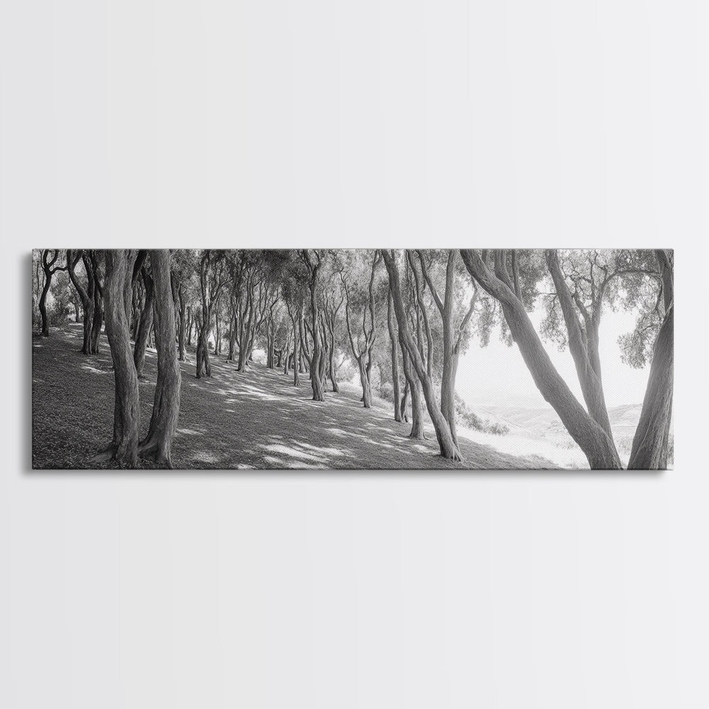 Forest Path, Tree Tunnel, Light Shadows, Woodland Magic, Framed Canvas Print, Nature Lover Gift, Entryway Wall Art, Modern Rustic Style