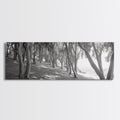 Forest Path, Tree Tunnel, Light Shadows, Woodland Magic, Framed Canvas Print, Nature Lover Gift, Entryway Wall Art, Modern Rustic Style