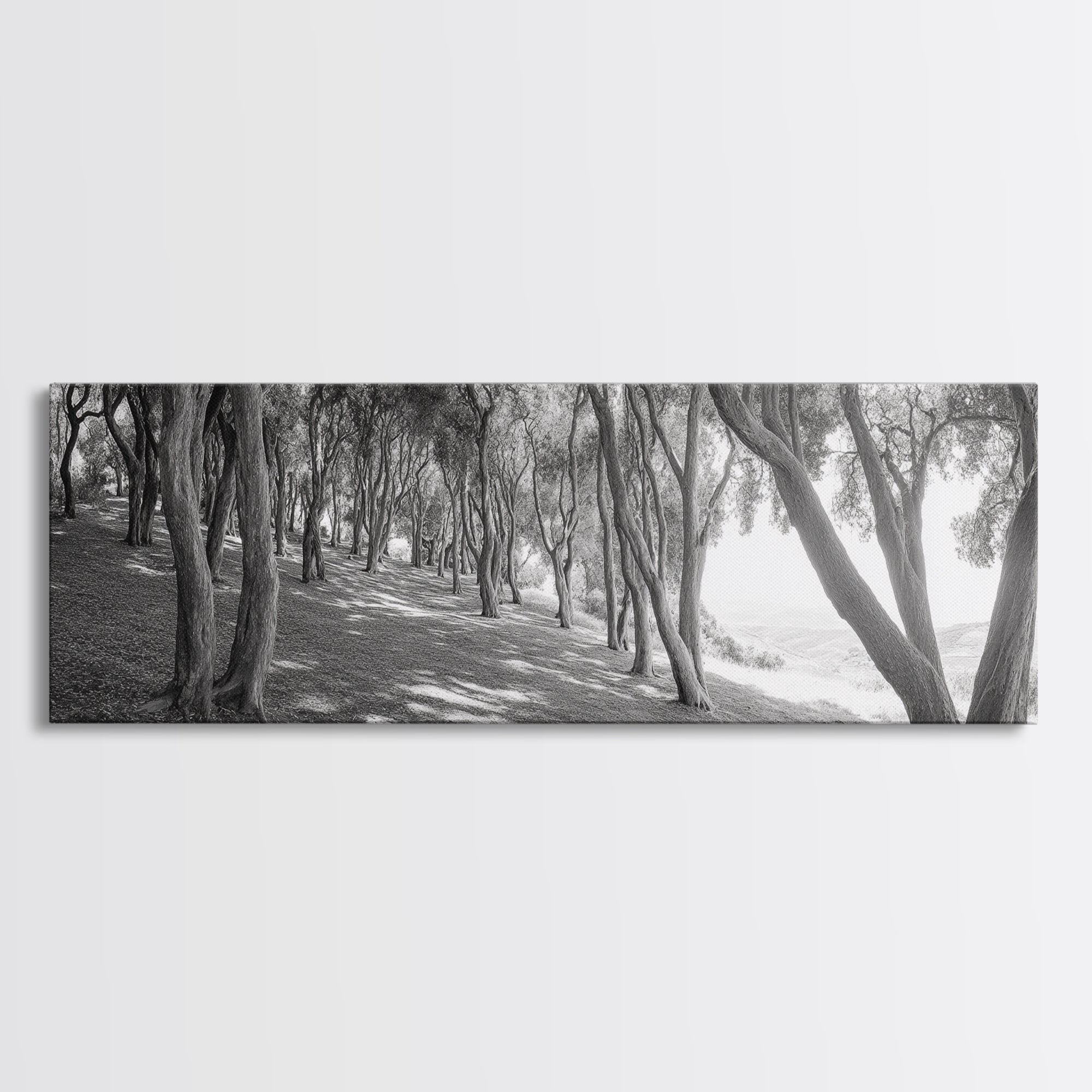 Forest Path, Tree Tunnel, Light Shadows, Woodland Magic, Framed Canvas Print, Nature Lover Gift, Entryway Wall Art, Modern Rustic Style