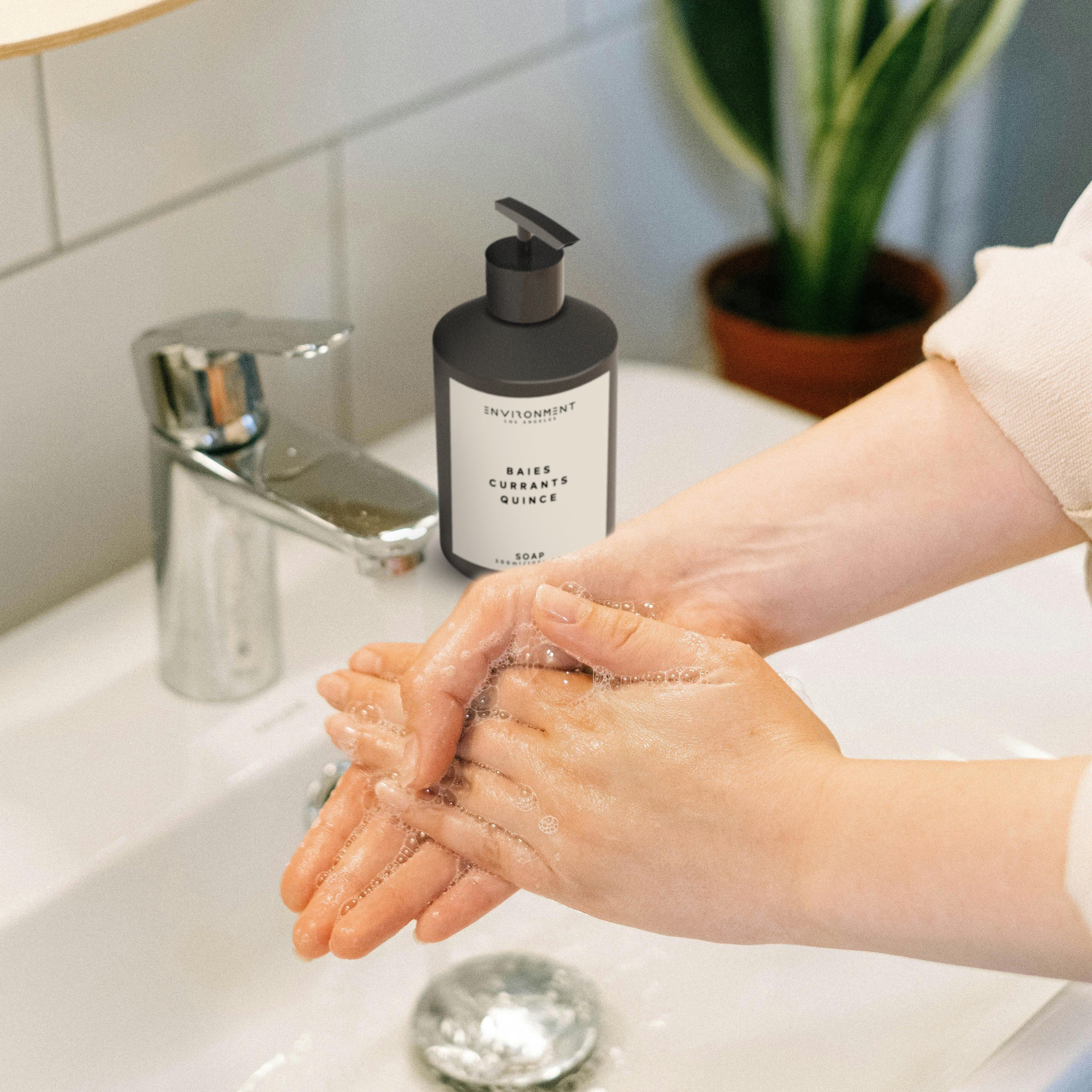 Baies | Currants | Quince Hand Soap (Inspired by Baies®)