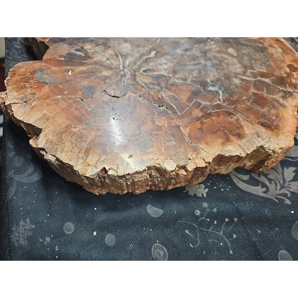 27.3 lb Fossil Wood Quartz Hedgehog Sculpture — Artisan Mineral Statement Piece | CrystalCloud Company