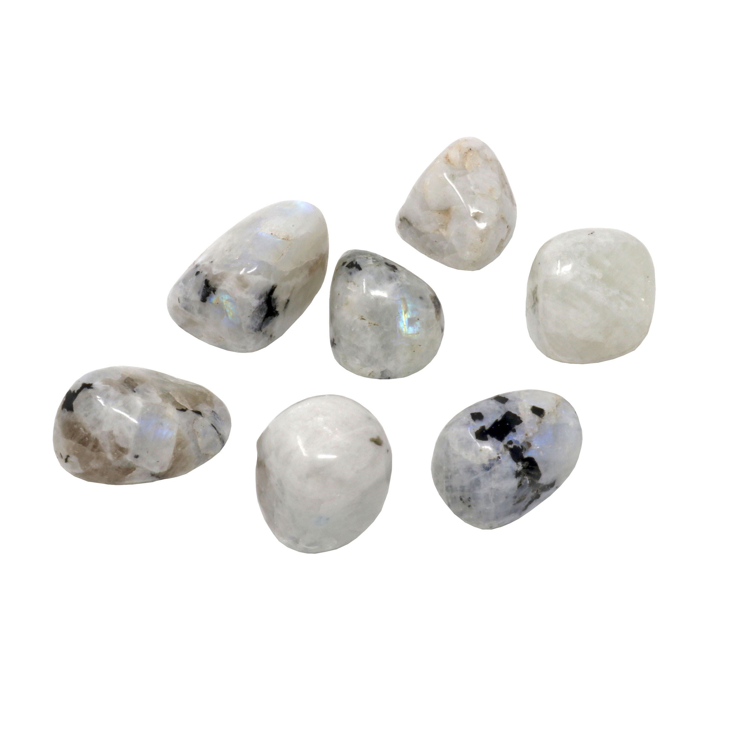 Tumbled Rainbow Moonstone - Medium (Singles) | Crystals & Minerals > Specimens | Wiccan Center