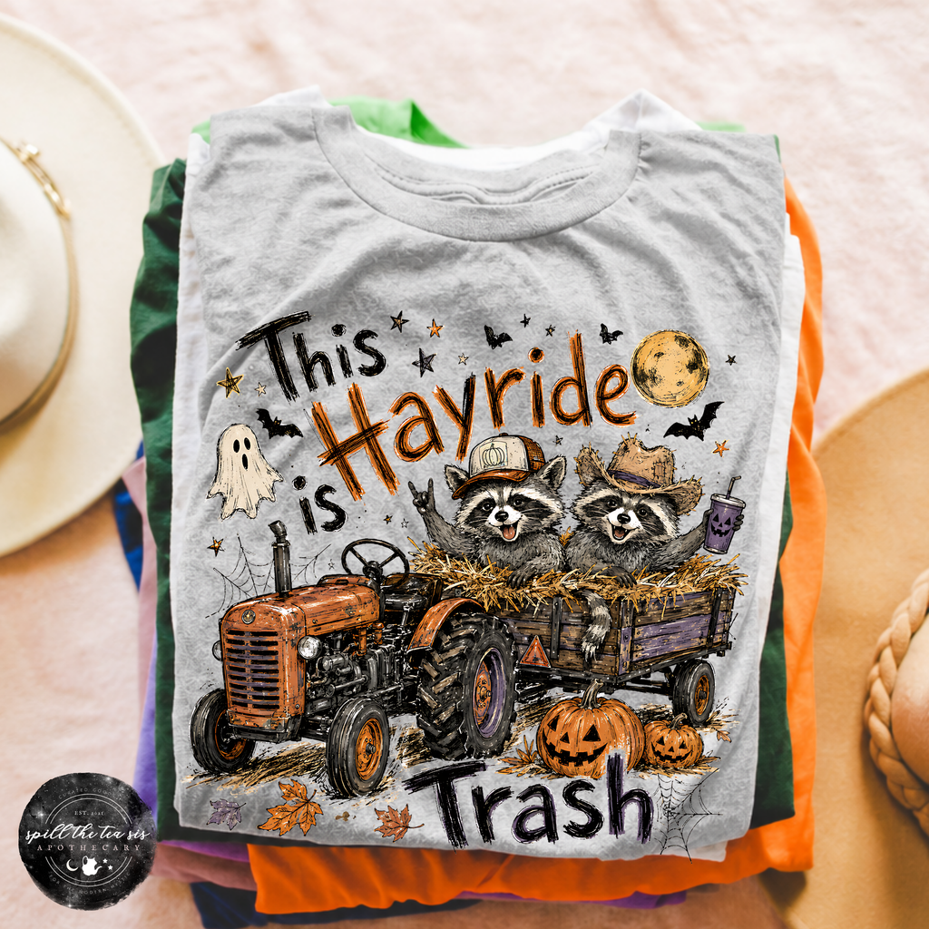 This Hayride Is Trash Tee | Funny Raccoon Fall Graphic T-Shirt