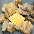 Citrine Crystal (Untreated) Rough Raw Stones (By The Piece or Pound) Wholesale | Home & Living > Home Decor > Home Accents > Rocks & Geodes | Wiccan Center