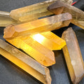 Citrine Crystal Points Extra Large (Untreated) Natural (2-4 Inches) Single or Double Terminated | Home & Living > Spirituality & Religion > Prayer Beads & Charms > Metaphysical Crystals | Wiccan Center