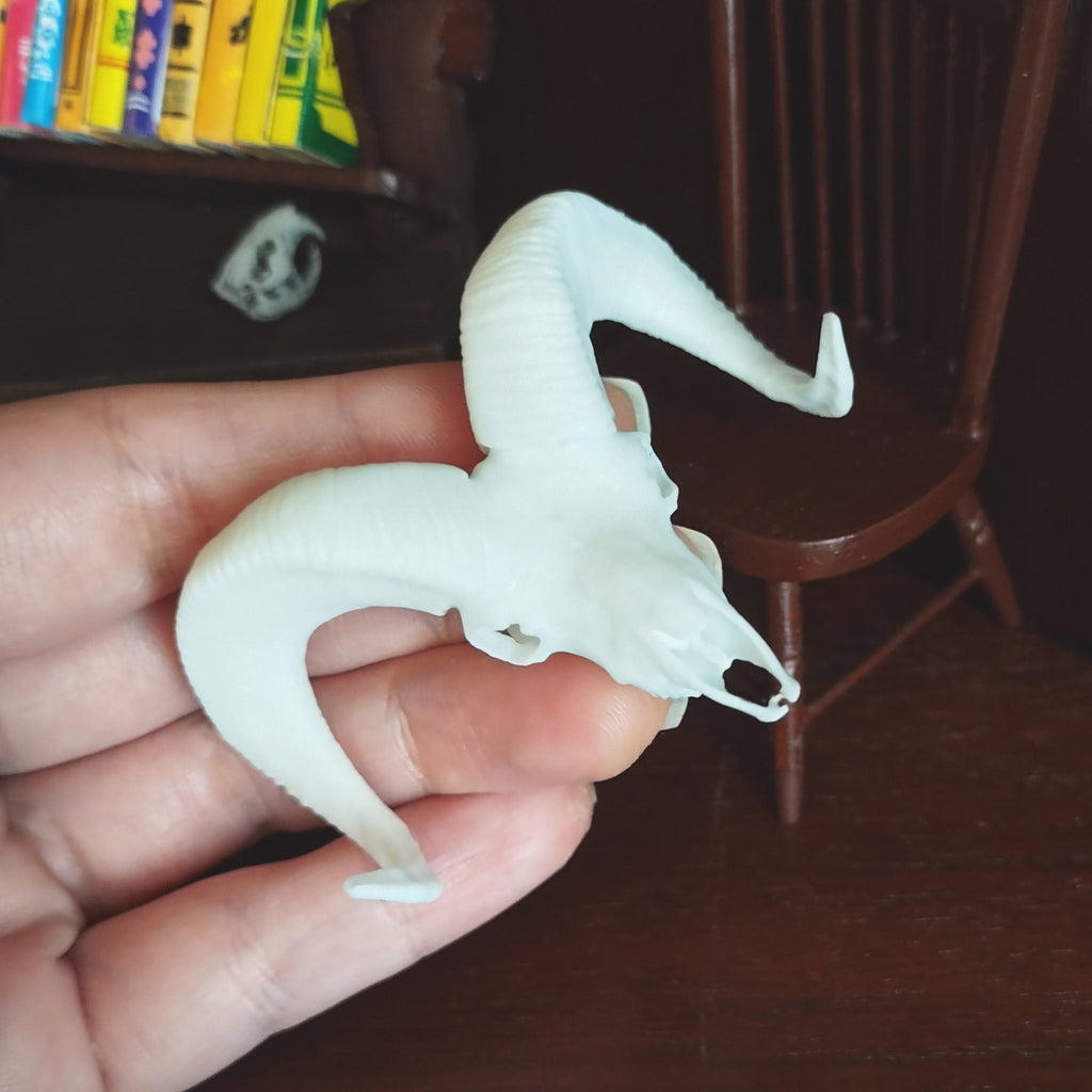 Big horn sheep skull replica (Field Bones #82: North America) 1:12 scale miniature cranium with horns for use with dioramas, action figures, dollhouses, horror. (1 skull) | Skull | Wiccan Center