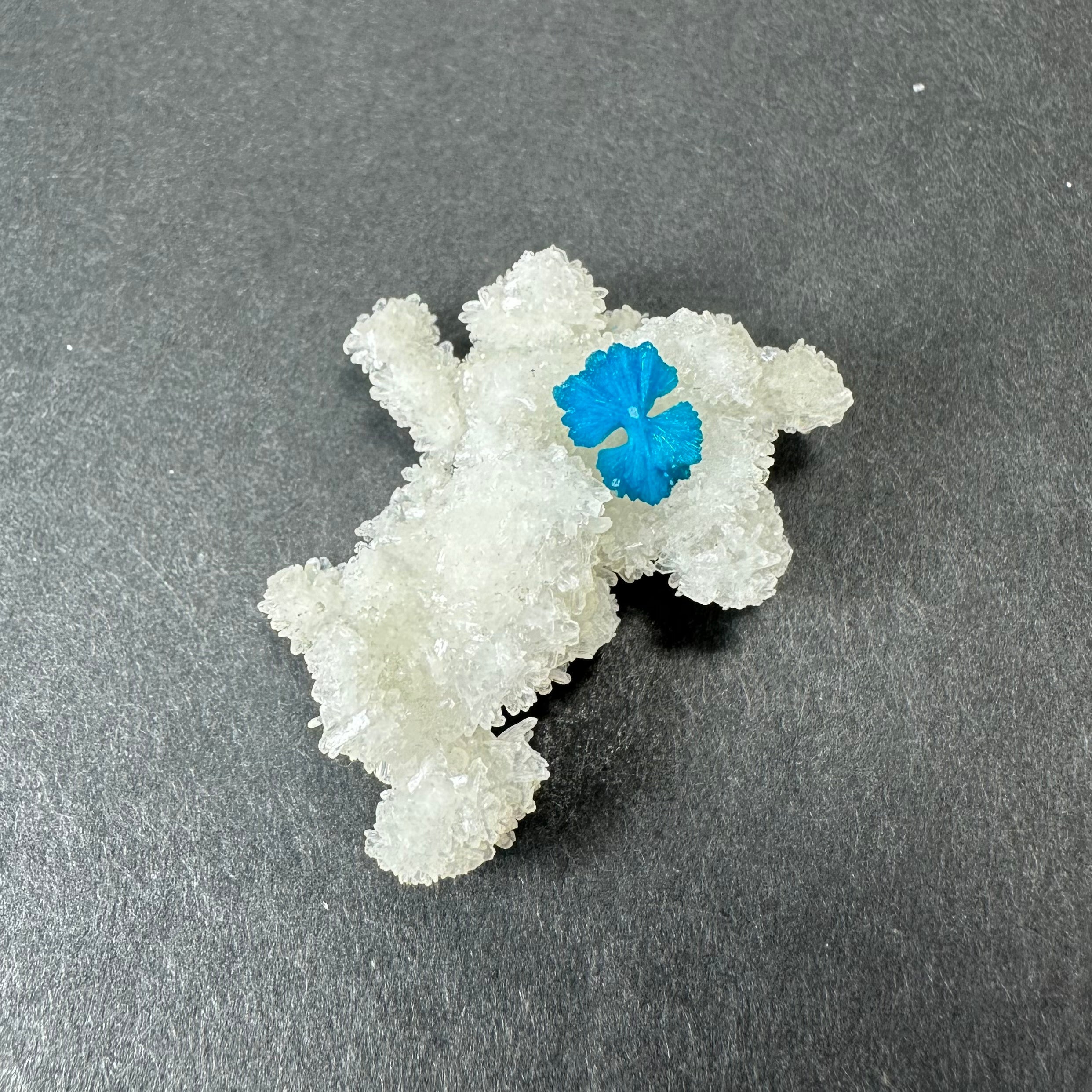 Cavansite Ball 'Floaters' on Stilbite SM from Maharashtra, Pune, India | Minerals | Wiccan Center