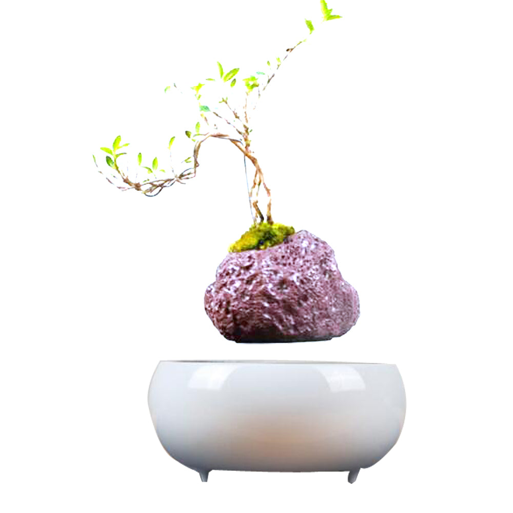 Magnetic Levitation Potted Plants | 0 | Wiccan Center