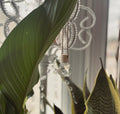 Vanilla Orchid Car Diffuser | | Wiccan Center