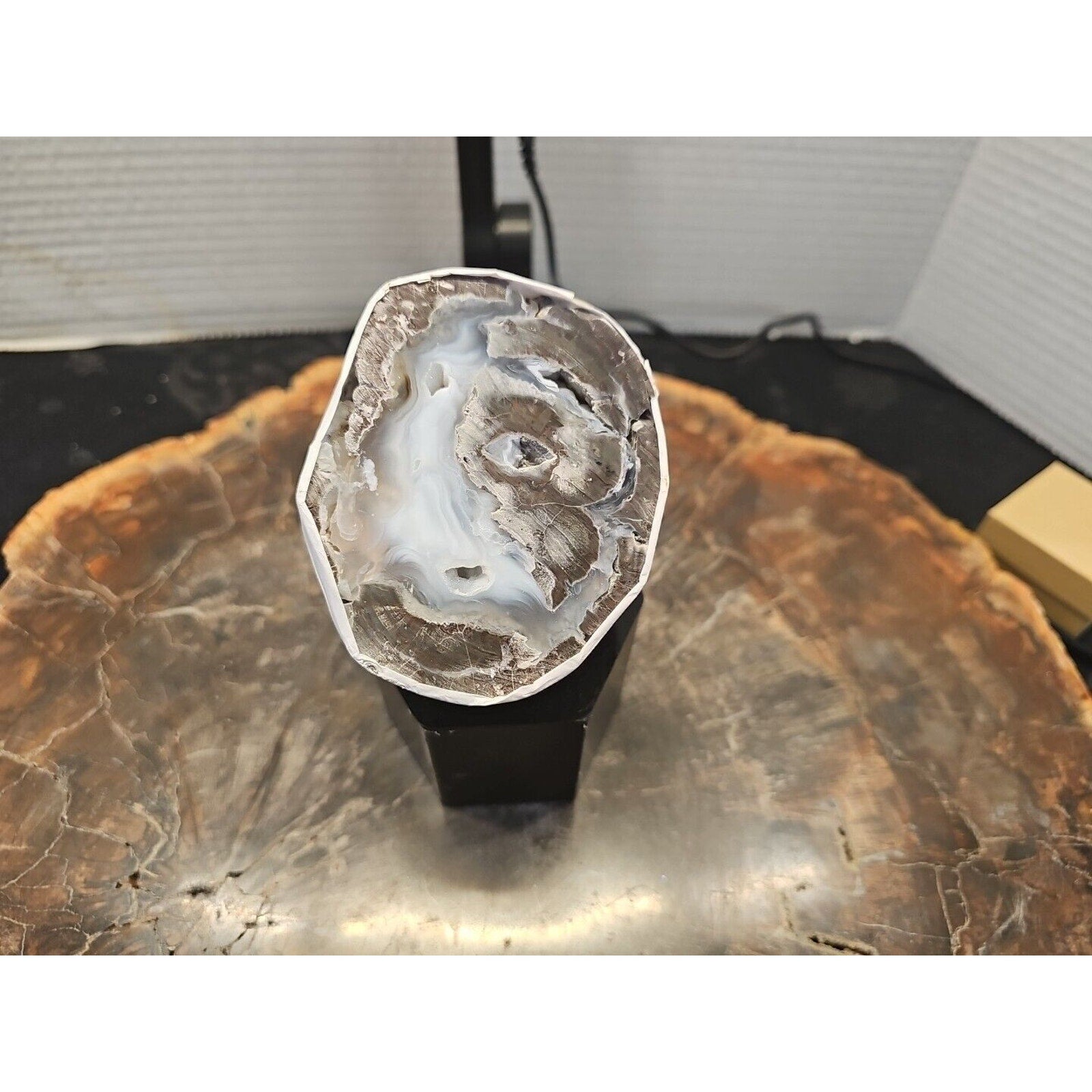 Polish Geode Specimen — 273g, Natural Display Crystal | CrystalCloud Company | Geodes & Clusters | Wiccan Center