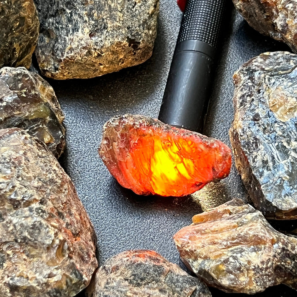 Black Amber Fossilized Tree Resin Mixed Sizes Rough Raw Stones (By The Piece or Pound)(UV Reactive) Wholesale | Home & Living > Home Decor > Home Accents > Rocks & Geodes | Wiccan Center