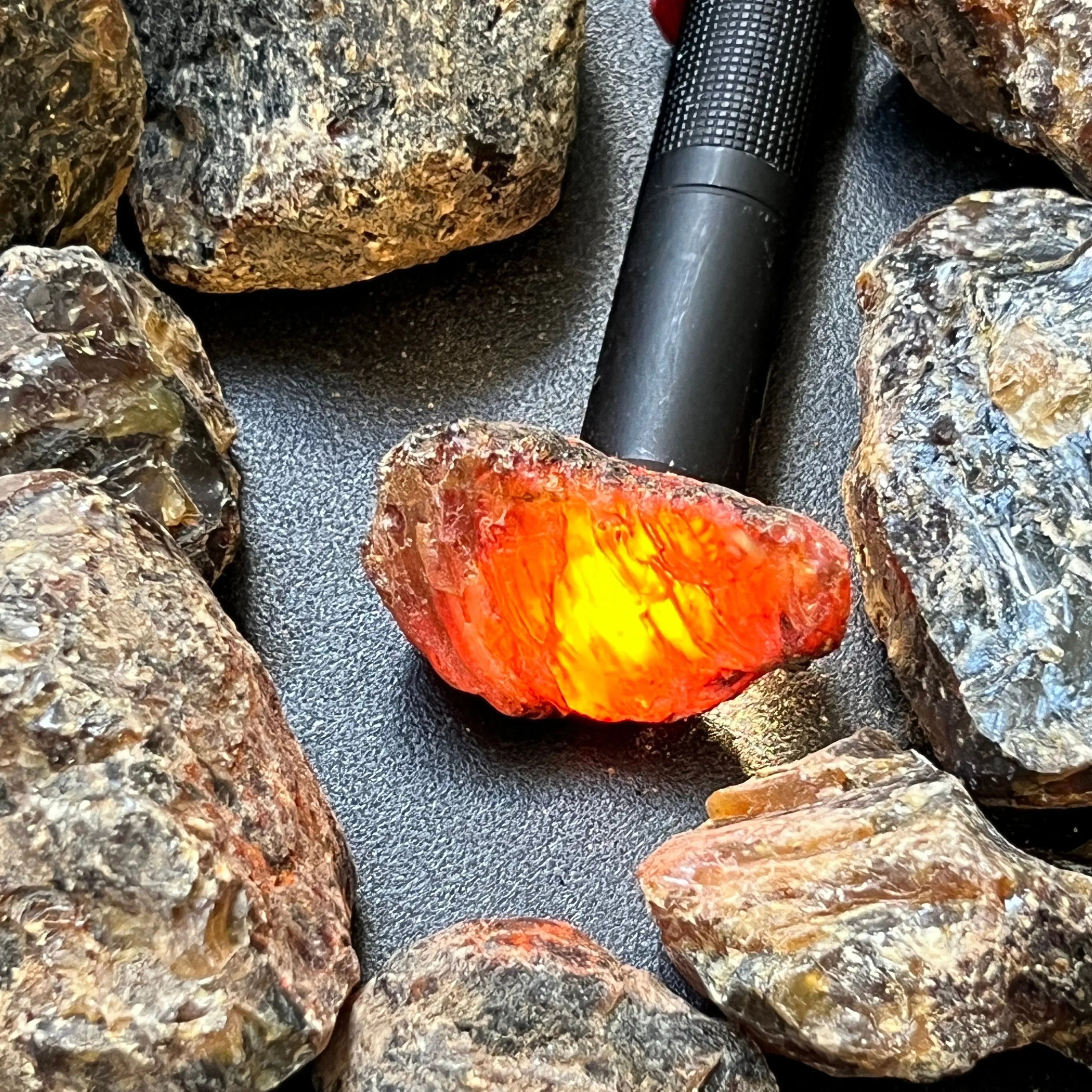 Black Amber Fossilized Tree Resin Mixed Sizes Rough Raw Stones (By The Piece or Pound)(UV Reactive) Wholesale | Home & Living > Home Decor > Home Accents > Rocks & Geodes | Wiccan Center