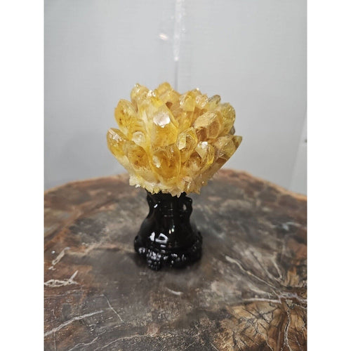 1.12LB Yellow Phantom Quartz Crystal Cluster Mineral Specimen W/Stand | Geodes & Clusters | Wiccan Center