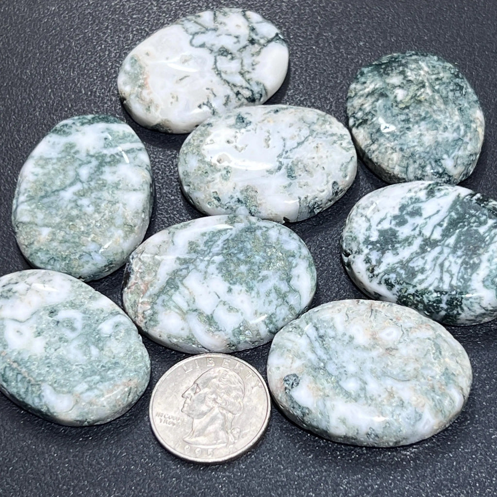Tree Agate Cabochons Mixed Shapes And Sizes Bulk Wholesale Gemstone Jewelry Supply | Craft Supplies & Tools > Beads, Gems & Cabochons > Cabochons | Wiccan Center