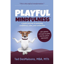 Playful Mindfulness: a joyful journey to everyday confidence, calm, and connection - Paperback | Books | Wiccan Center