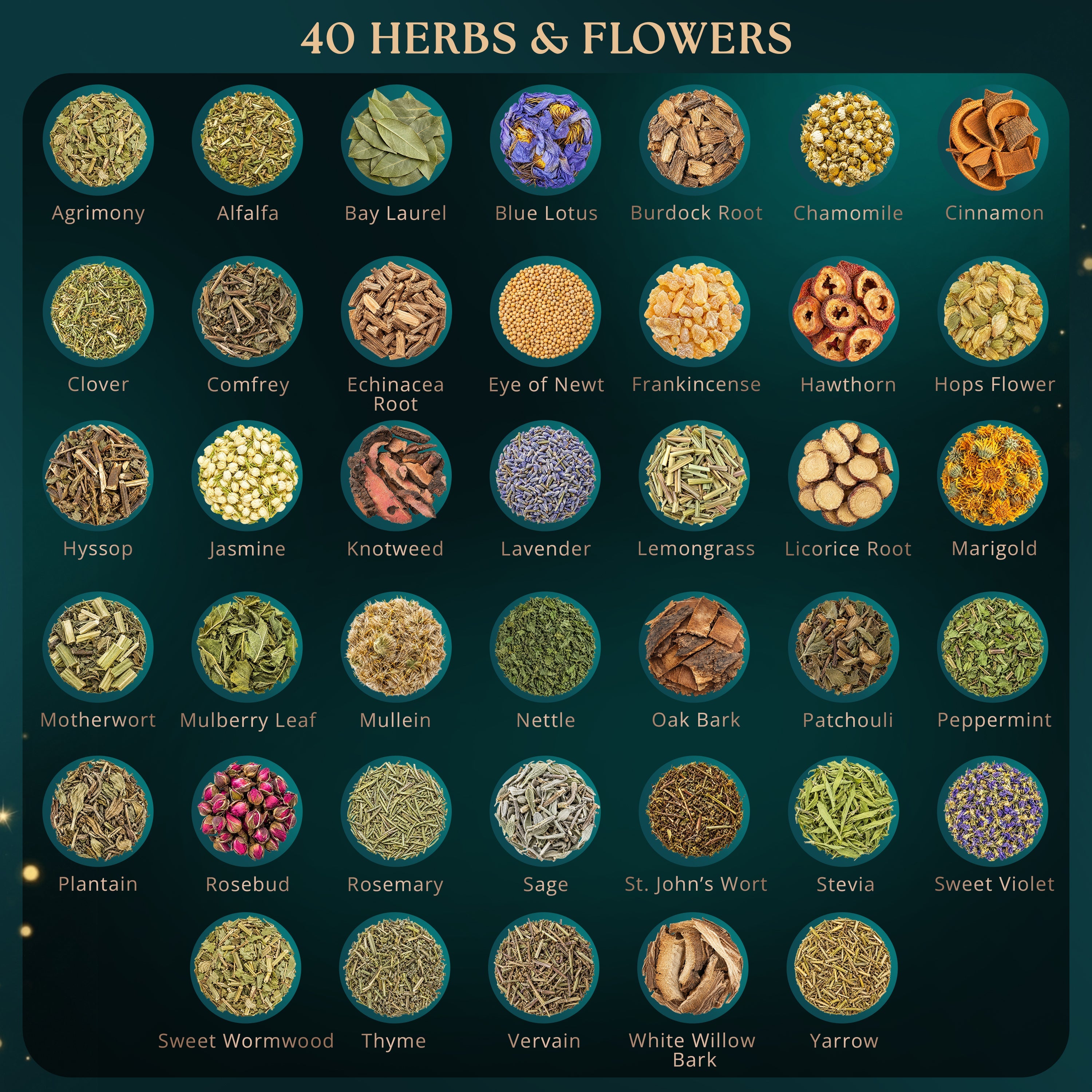 40 PCS Dried Herbs