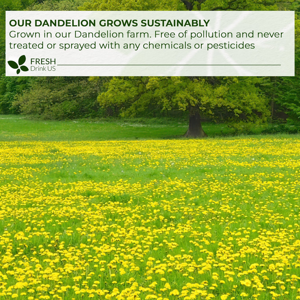 Dandelion Root Tea Bags, 100% Natural & Pure from Dandelion Root, Eco-Conscious Tea Bags, Dandelion Root Herbal Tea. Dandelion Root Tea. No Sugar, No Caffeine, No Gluten, Vegan. | Tea | Wiccan Center