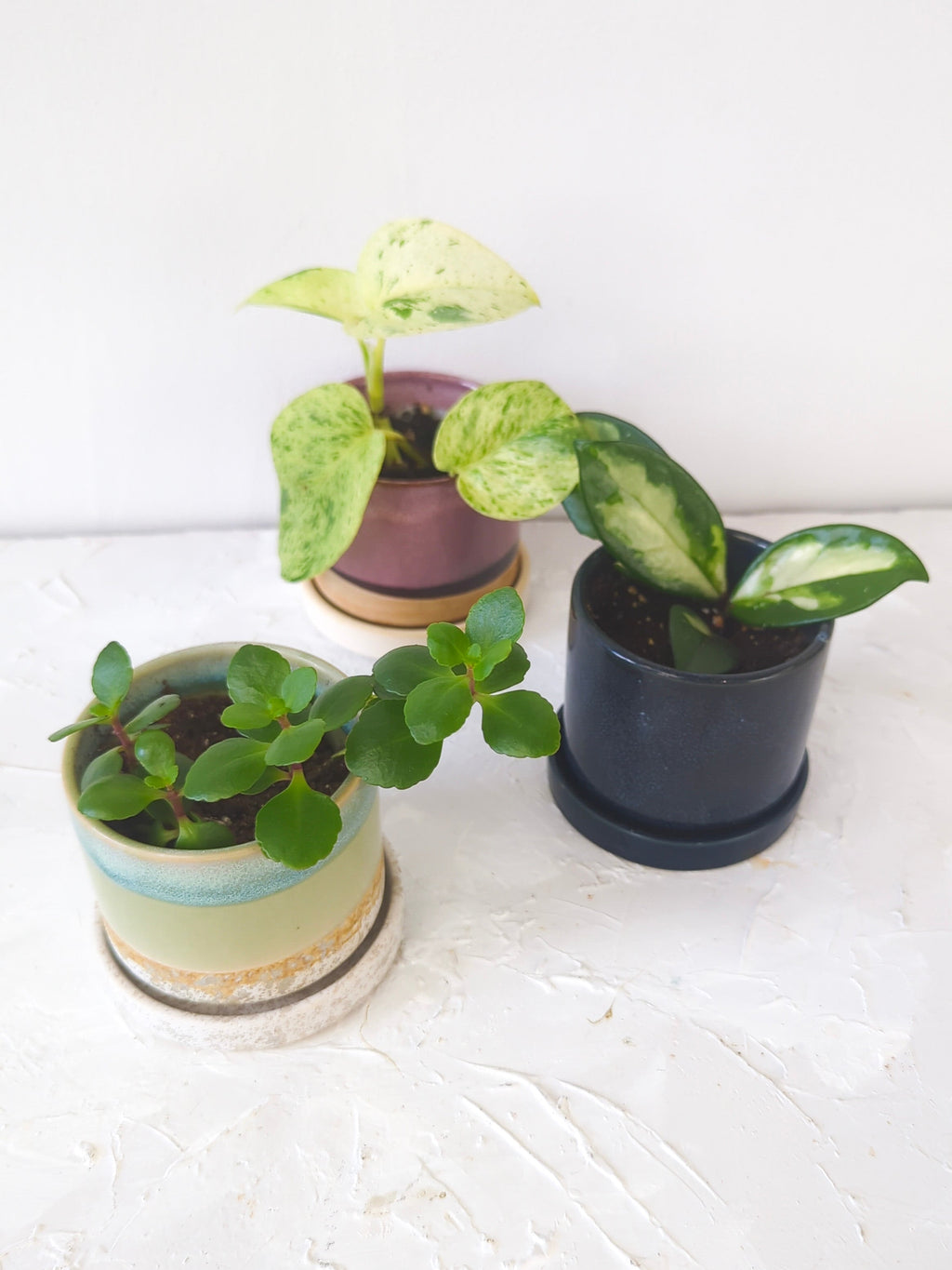 Cosmos Blue 3" Ceramic Plant Pot and Saucer | plant pot | Wiccan Center