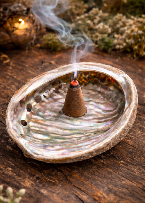 Abalone Shell -3" | Smudges | Wiccan Center