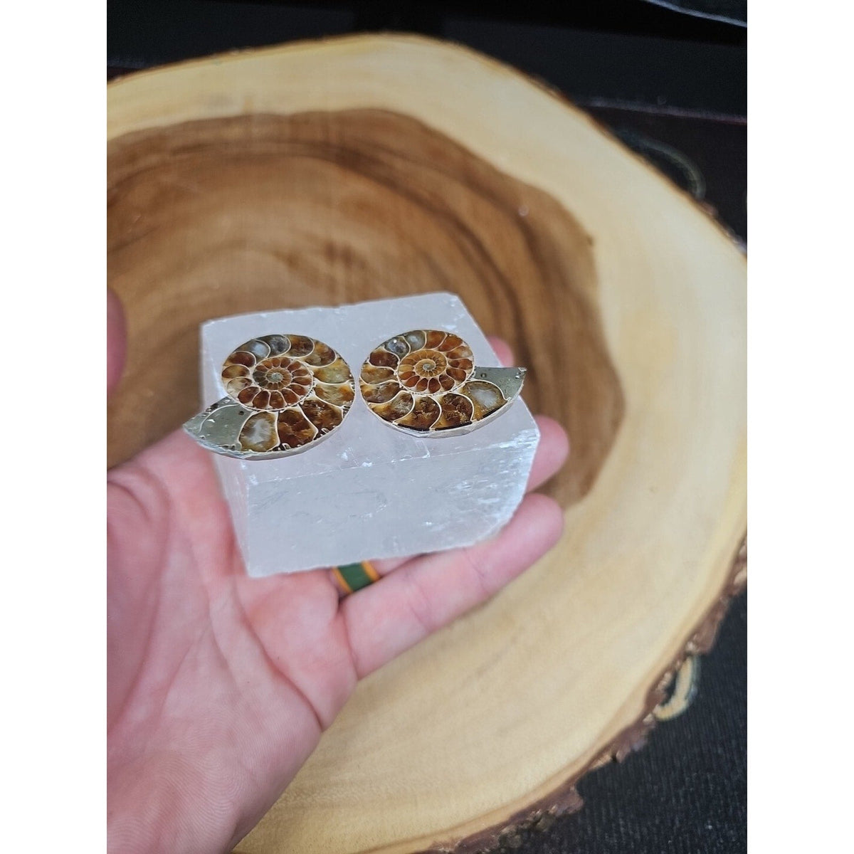 Ammonite Fossil W/Selenite Base 260g