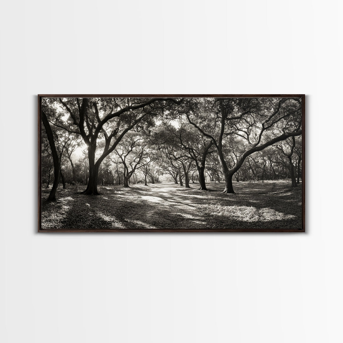 Oak Tree Path, Autumn Forest Glow, Nature Trail Photography, Framed Canvas Print, Hallway Wall Art, Earthy Decor, Woodland Art | | Wiccan Center