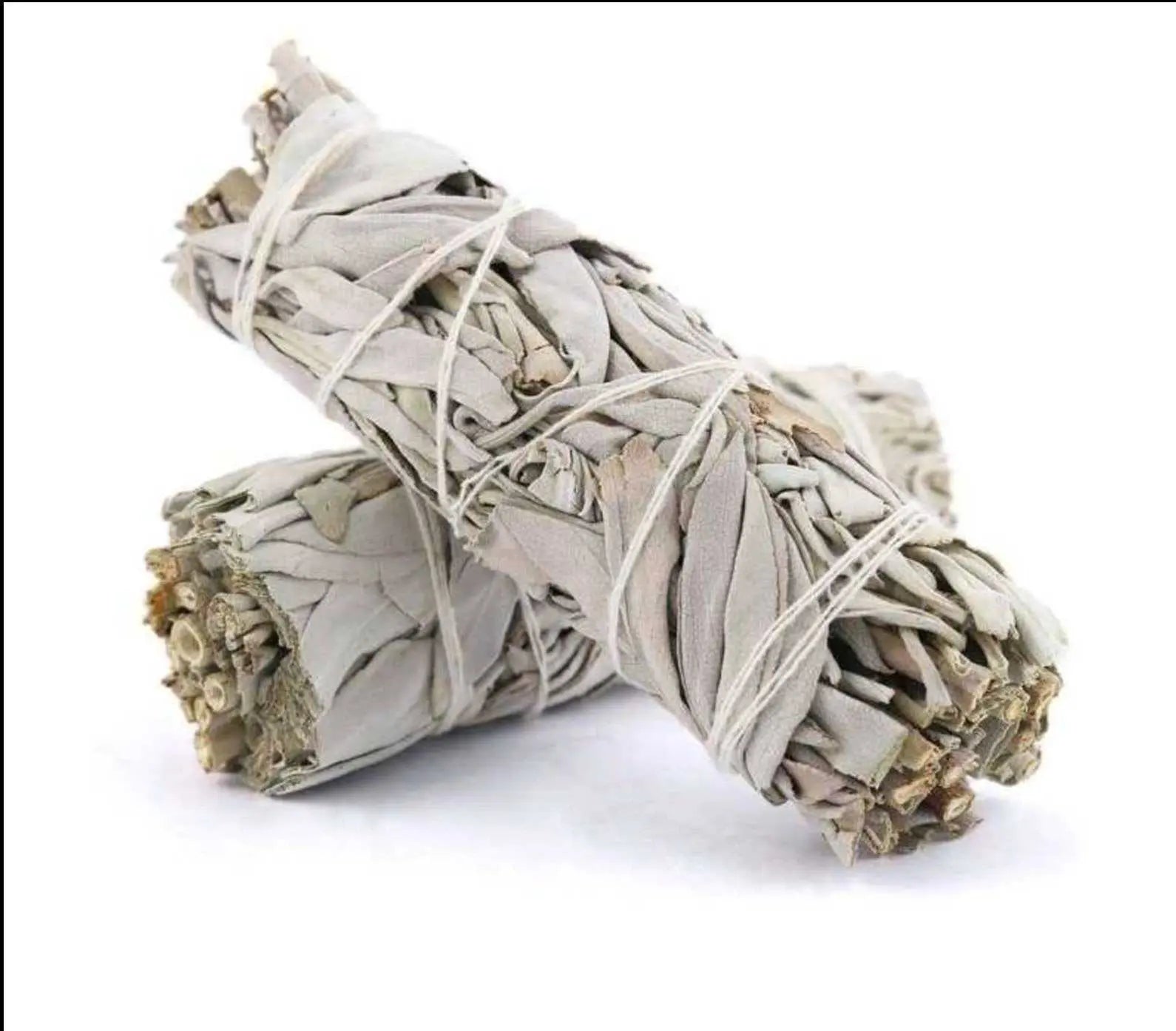 White Sage Smudge Stick (4 in.) | Smudge Sticks | Wiccan Center