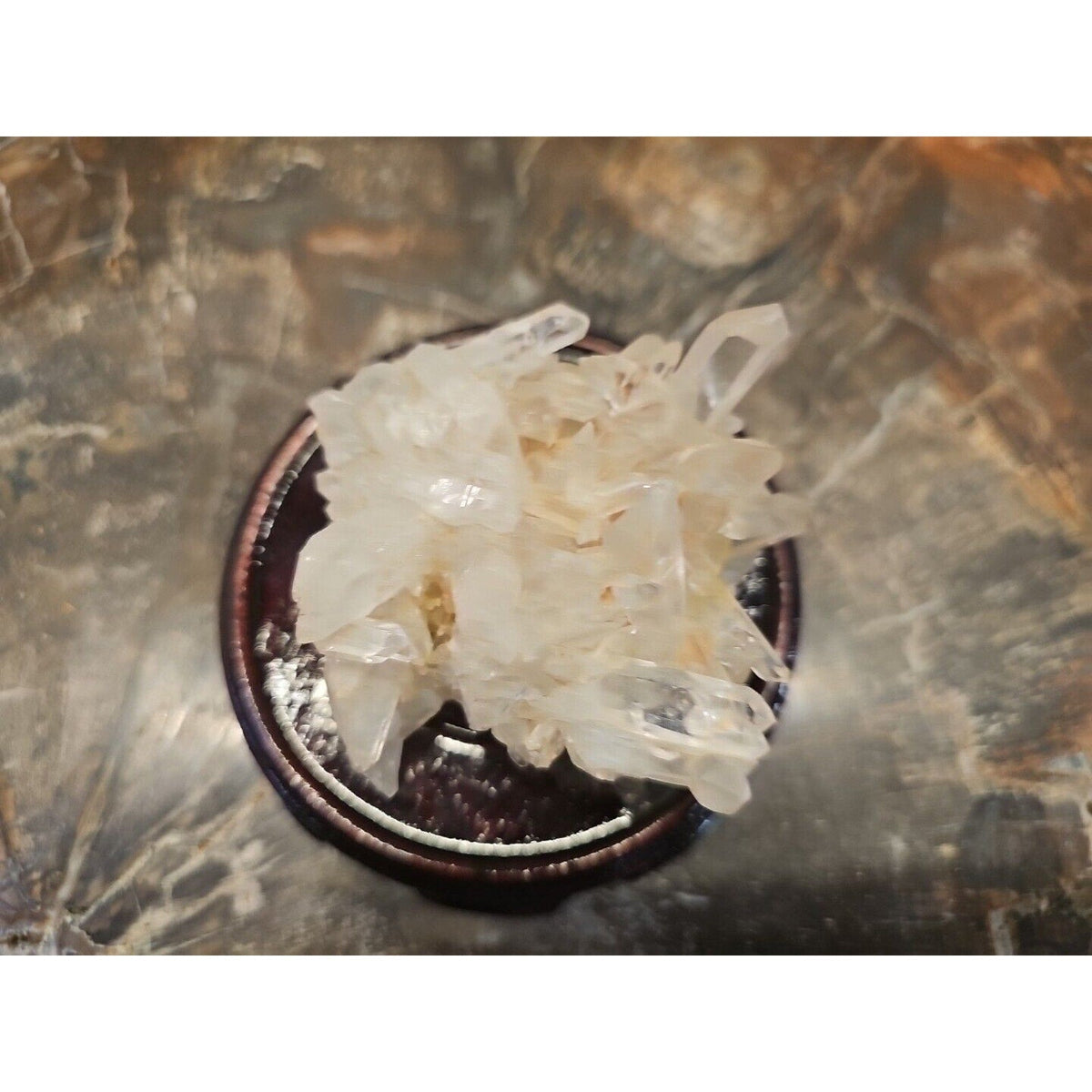 133g Natural Quartz Crystal Cluster with Display Stand - Vitreous Mineral Specimen | CrystalCloud Company | Geodes & Clusters | Wiccan Center