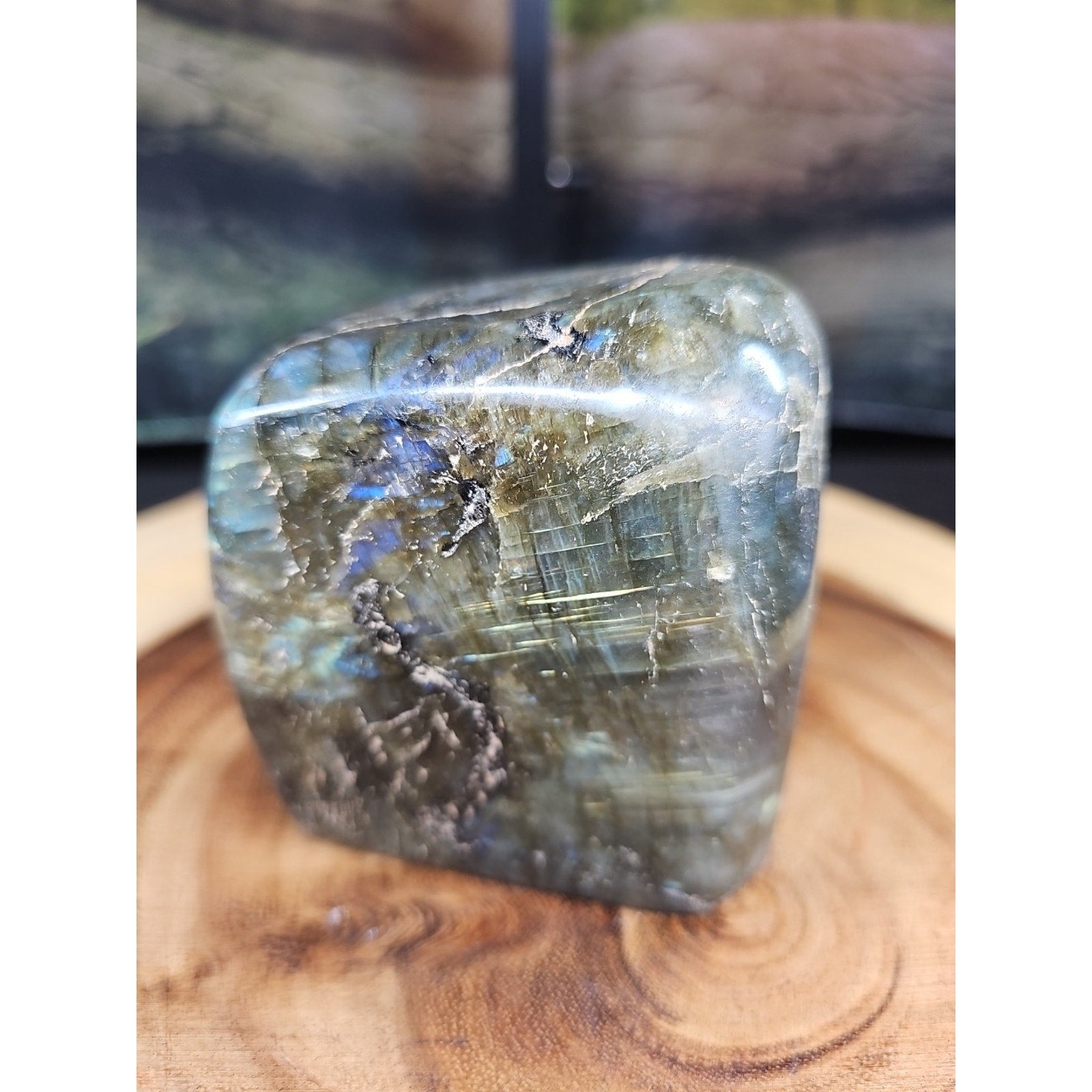 1.60lbs Natural Rainbow Labradorite Crystal Gem Spectrolite Stone | Mineral Specimens | Wiccan Center