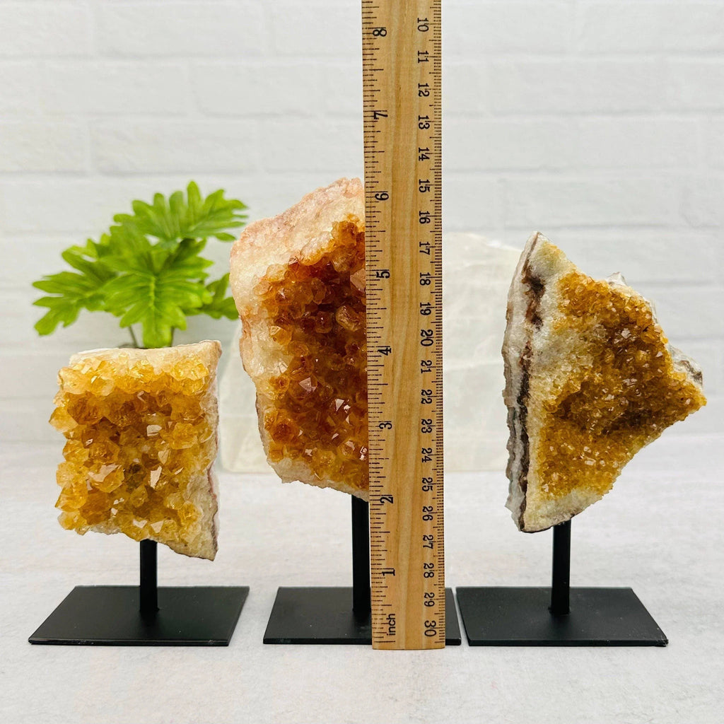 Citrine Cluster on Metal Stand