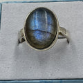 Sterling Silver Twilight Blue Labradorite Oval Ring - Size 9 - Magic and Protection | Rings | Wiccan Center