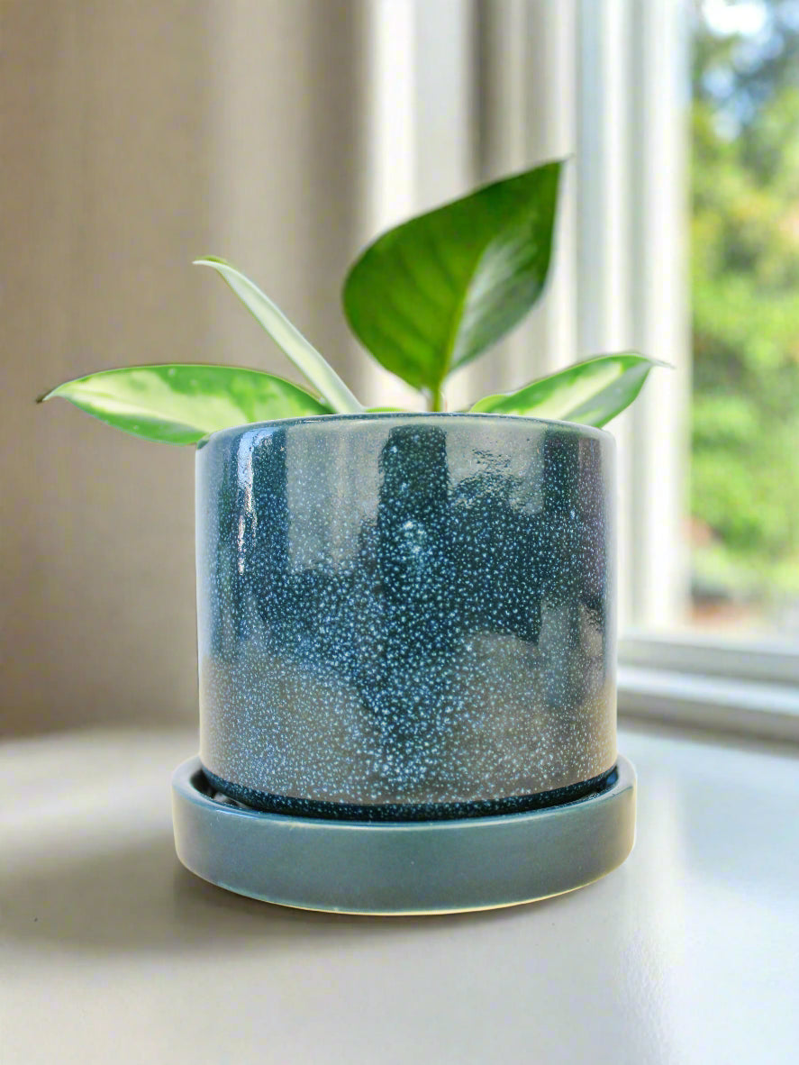 Cosmos Blue 3" Ceramic Plant Pot and Saucer | plant pot | Wiccan Center